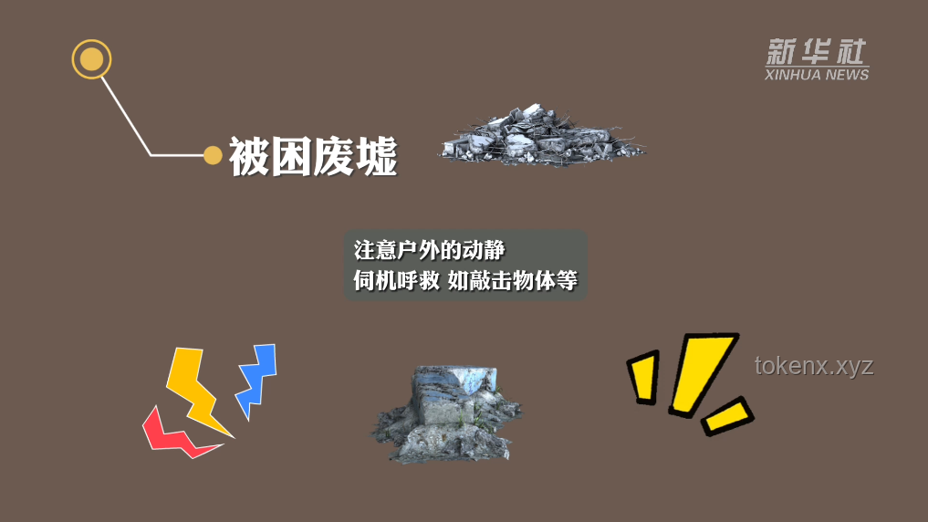 《鳞甲下的哀伤》问题解决指南：如何以智慧应对人心之难